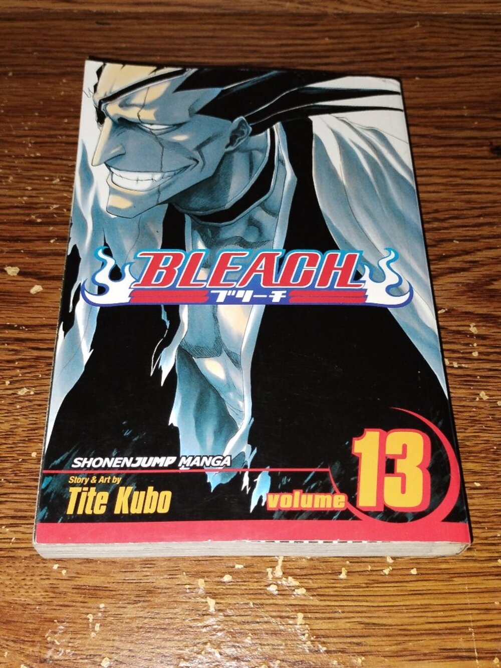 Bleach Vol. 13 Manga in English by Tite Kobo (Shonen Jump / Viz Media)